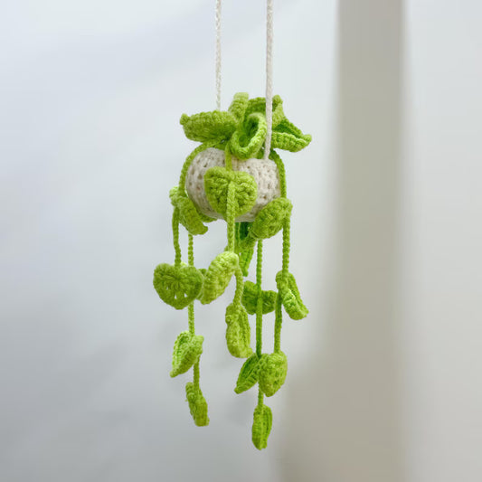 Crochet Pothos Basket Car Hanger